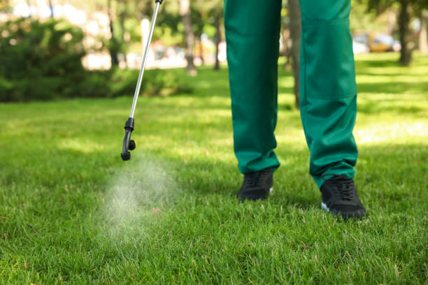 Best Affordable Pest Control Services  in Bellair Meadowbrook Terrace, FL
