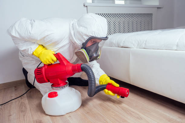 Professional Pest Control in Bellair Meadowbrook Terrace, FL