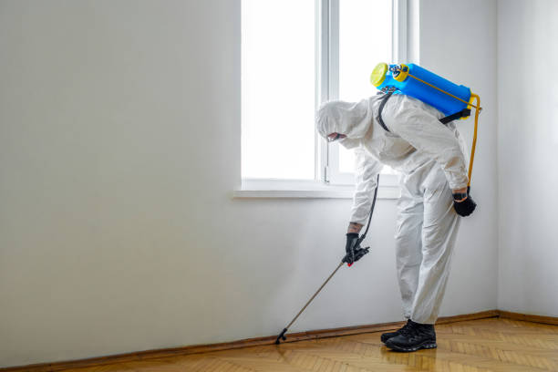 Best Pest Removal Services  in Bellair Meadowbrook Terrace, FL