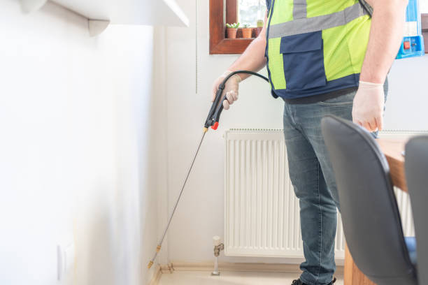Best Wasp Removal Services  in Bellair Meadowbrook Terrace, FL